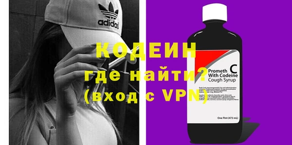 шишки Долгопрудный