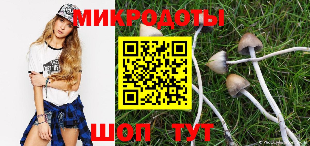 Псилоцибиновые грибы прущие грибы  наркошоп  Псилоцибиновые грибы мицелий  Домодедово 
