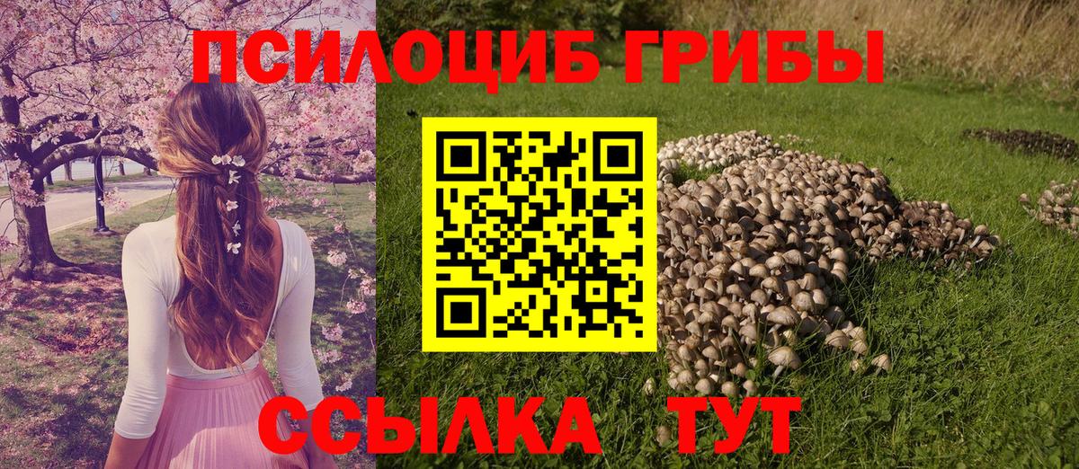 Псилоцибиновые грибы мицелий  Вход с VPN  Домодедово 